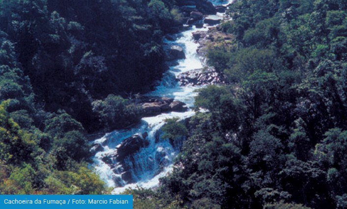 Fumaça